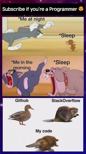 Software Engineer 🙀🤮||programming memes || coding memes #programming #developer #coding #memes #ai