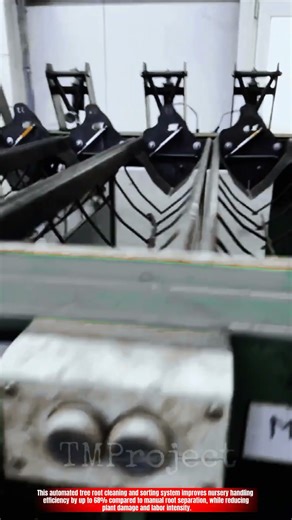 Innovative Tree Root Cleaning and Sorting Machine System : Best Nursery Workflow Efficiency