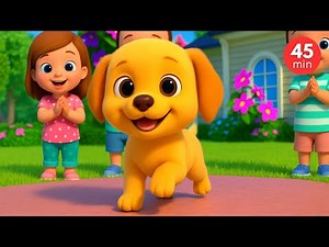 45 Minutes of Fun Nursery Rhymes | Kids Songs & Baby Learning Videos