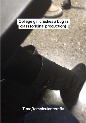 Asking a college girl classmate to squish a bug for me in class! What a natural! Get all of my productions on the link in my bio! #spottedlanternfly #spottedlanternflies #crushingasmr #stomp #feet