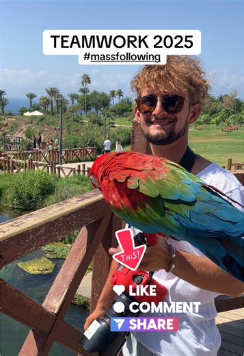 Teamwork to 10k. #teamworktrend #teamworkmakesthedreamwork #teamwork1minago #teamwork5minago #roadto10k #massfollowing #teamworknow #ifb #growtogether #teamworkuk #creatorrewardprogram