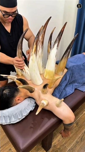 Cup therapy from animals horn😱