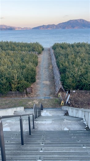 This is Michinoeki Takata Matsubara Iwate Prefecture now, after the grove was destroyed during 2011 Tōhoku earthquake and tsunami, tree planting efforts commenced in 2017 and 2018. | Mei Cruz