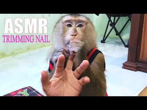 Cozy Fingernail Care ASMR | Soothing Grooming Session Relax, Focus & Deep Sleep
