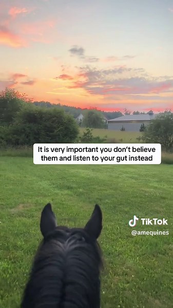 And it will make you want to quit something you’ve dedicated your entire life towards… don’t let it 🫶🏻 #amequines #equestrian #horse #lyme #sick