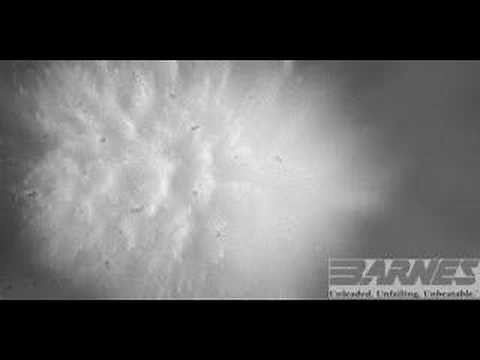 Barnes High Speed Grape Video