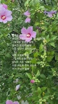 2026년 7월 26일ㆍ주님의 숲(3/3)ㆍ김대환