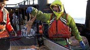 Deadliest Catch: Season 15 Episode 11 Hell Hath No Fury