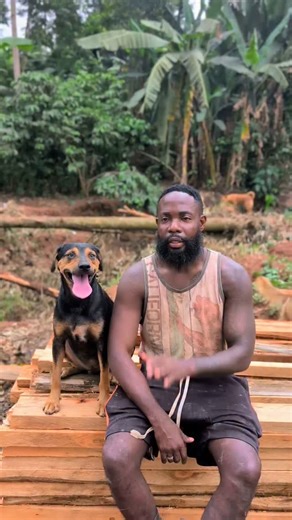 Jjemba Andrew on Instagram: "Please donate linkinbio and press all the buttons to help our mission 🐶🐱❤️ Every share saves a life! 🙏✨ #AJDogsShelter #RescueDogs #RescueCats #AdoptDontShop #AnimalRescue"