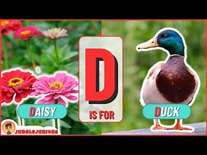 Letter D | Animal Encyclopedia | ABC Animals for Kids, Homeschooling