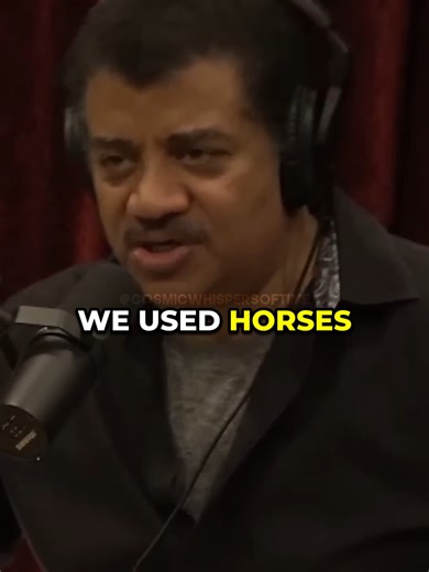 How Horses Disappeared in Just 20 Years