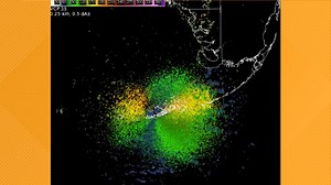 Flock of migrating birds looks like a storm on Florida weather radar