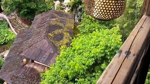 The spring breeze, though intoxicating, cannot dispel my sorrow. 0:08 | 阵雨Moon