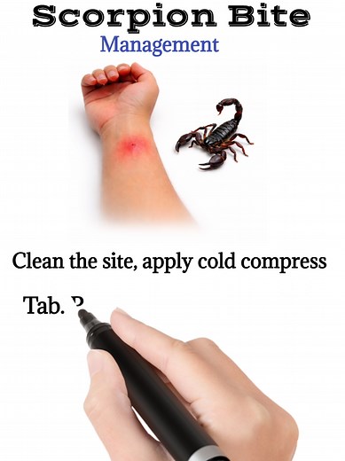 Scorpion Bite Management: First Aid & Emergency Care Tips