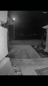 She is always thinking of her mama! | Hello Mother