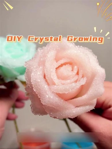 Magical Home Crystal Growing Project for Kids