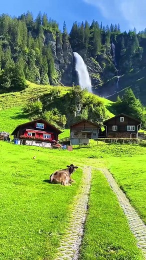 Explore the Tranquil Beauty of Swiss Waterfalls