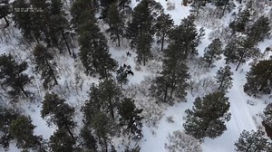 23K views · 293 reactions | Today, the El Paso County Sheriff's Office continued their search for Gannon Stauch. Here's a look at drone video released by the Sheriff's Office on their efforts to find Gannon. If you have information on Gannon, you're asked to call the Sheriff’s Office Tip Line at 719-520-6666, or email tips@elpasoco.com. https://krdo.com/news/2020/02/12/stepmom-gives-statement-to-denver-media-search-for-gannon-stauch-goes-north/ | KRDO13 | Facebook