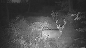 3.3K views · 60 reactions | Have you ever heard there is no game on Wildlife Management Areas? False! Don't miss out on more than 200,000 acres of great hunting opportunities. Join DWR staff as they bust some of the common myths about hunting on DWR's Wildlife Management Areas. | Virginia Department of Wildlife Resources | Facebook