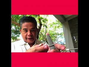 Paano mangising ng talim ng Tari