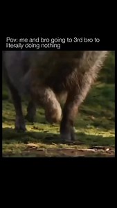 😂 The most recent *Lion King* movie, released in 2019, is a photorealistic remake of Disney’s 1994 animated classic. Directed by Jon Favreau, the film uses groundbreaking CGI technology to create incredibly lifelike versions of the beloved characters, from Simba to Mufasa, in a visually stunning African savanna. The story follows the same basic plot as the original, with Simba’s journey from a carefree cub to the King of the Pride Lands, as he grapples with loss, betrayal, and responsibility. I