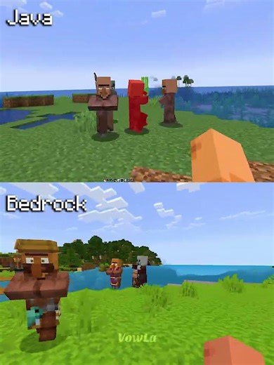 Minecraft Actions and Stuff Bedrock vs Java Part 8