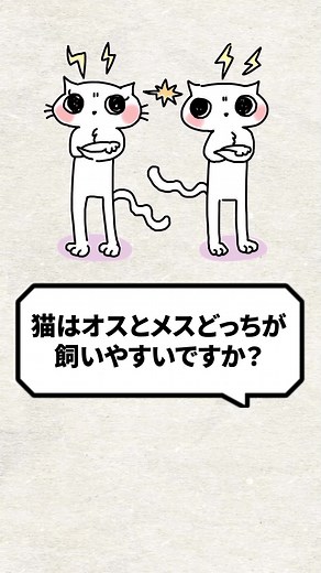 猫の性別オスとメスの違い