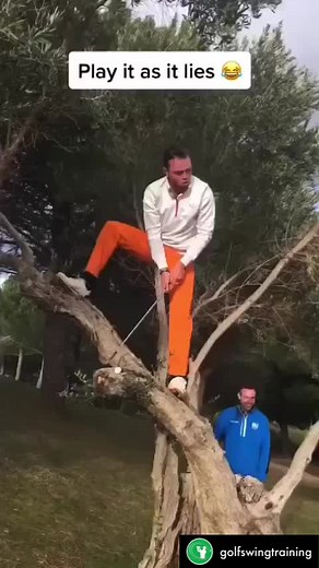 Play it as it lies I guess 😂 love the commitment 🙏 Go check out (golfswingtraining) on insta to see more of their content!! 🙌🙌🙌 #funnygolf #tree #trickshot #golfer #golflife #funny #golfswing #golfaddict #golf #golfgods #funnyvideos