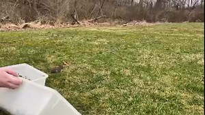 1.3M views · 28K reactions | And just like that, our first two...