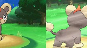 Pokemon X & Y screens and trailer show first town, gym leader & new creatures