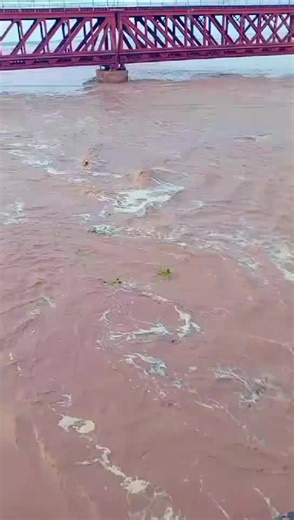 Shaikh saab (@shaikh.saab340)’s videos with original sound - Shaikh saab