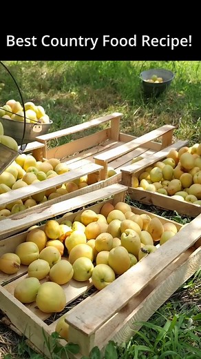 13K views · 254 reactions | Best Country Food Recipe!  | CountryFood HD | Facebook