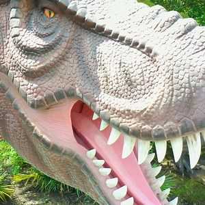 13K views · 109 reactions | Dinosaurs at Audubon Zoo is NOW OPEN! Stroll through our immersive outdoor adventure at your own pace and discover more than 50 life-size dinosaurs, endless photo-ops, dino rides for kids, and so much more. Get your tickets NOW: bit.ly/3SAyz0I | Audubon Zoo | Facebook