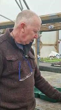 🌱 What Kind of Seed Tray Should You Use? 🌱 Irish Gardening Tips | D-Plant