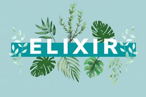 Elixir