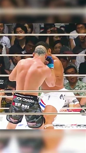 Os vídeos de Regis Nunes Calistenia (@regis.nunes.calis) com som original - Regis Nunes Calistenia