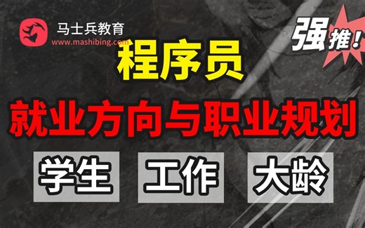 马士兵深度解析当代程序员IT职业方向选择与职业规划道路！在读学生，找工作、在职程序员，大龄程序员全面规划解析！