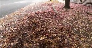 Chico Public Works says they are ready for the upcoming stormy weather, crews removing leaf piles around Chico