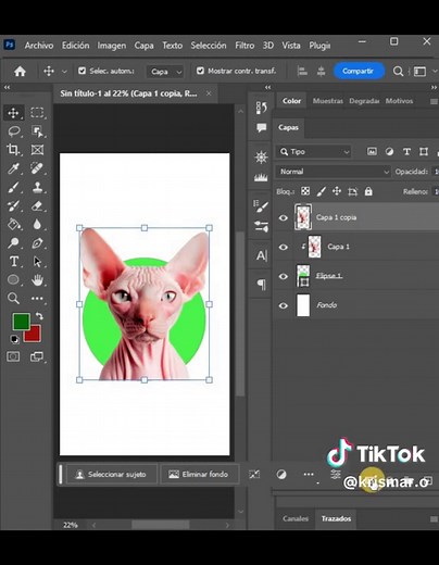 Máscara de recorte en Photoshop: Tutorial paso a paso
