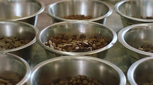 28K views · 83 reactions | Choose one of our best business plans and get #Microsoft365 included on us—complete with all the right tools to save you time and money. https://t-mo.co/32ORAmB | T-Mobile for Business | Facebook