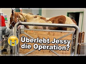 Schockdiagnose - wir müssen in die Klinik ...