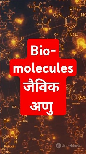 What Are Biomolecules? #Lipids #Carbohydrates #Proteins #nucleicacids #DNA #RNA #Aminoacids