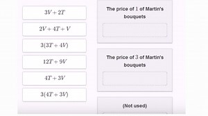 Interpreting linear expressions: flowers