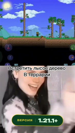 Игроки Terraria и Minecraft такие типо