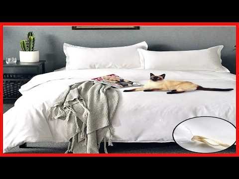 Experience Ultimate Comfort with Our Premium King Size Microfiber Duvet Cover Set