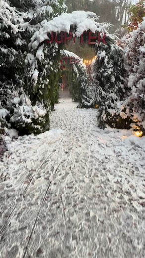 Santa and Mrs Claus have arrived in Scotland and have a hidden grotto at @ Jupiter Artland If you’ve been to Jupiter Artland before, you’ll know how magical this spot is for kids and adults alike. But with Christmas also on full display, it adds to the extra magical and cosy atmosphere. For anyone who hasn’t been, you need to add it to your must-visit list! Not only is it affordable, it’s quirky, unique, and filled with magical creations that will have your imagination in full swing. From animal