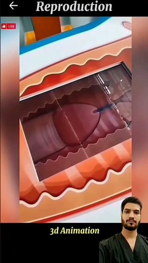 Female Reproductive System Explained | 3D Medical Animation for Education