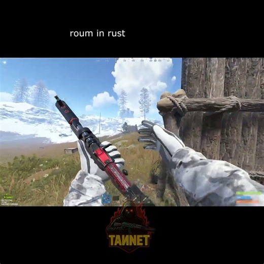 ROAMING in winter Rust