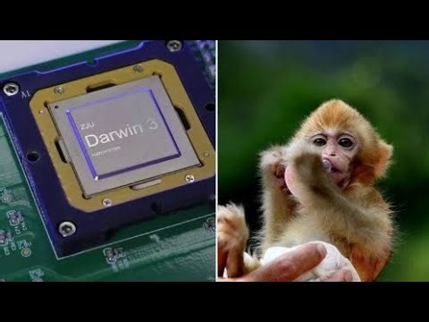 Researchers Claim To Have Created A Virtual Monkey Brain AI Intelligence: Is It Real?