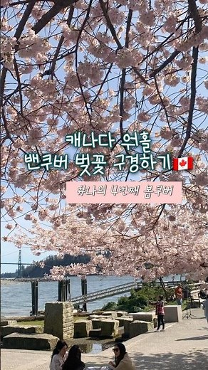 밴쿠버 히든 벚꽃 명소🇨🇦 | 캐나다 봄 즐기기 #캐나다일상 #캐나다워홀 #밴쿠버여행 #캐나다브이로그 #워홀 #밴쿠버워홀
